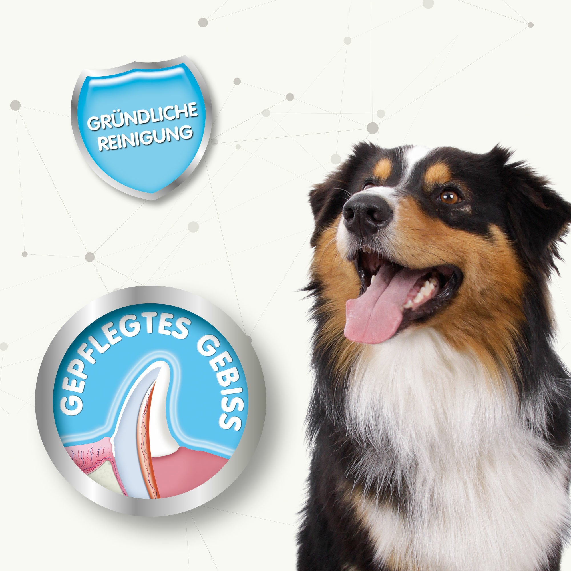 Beaphar Finger Toothbrush, Finger-Zahnbürste für Hunde und Katzen, Inhalt 2 Stück