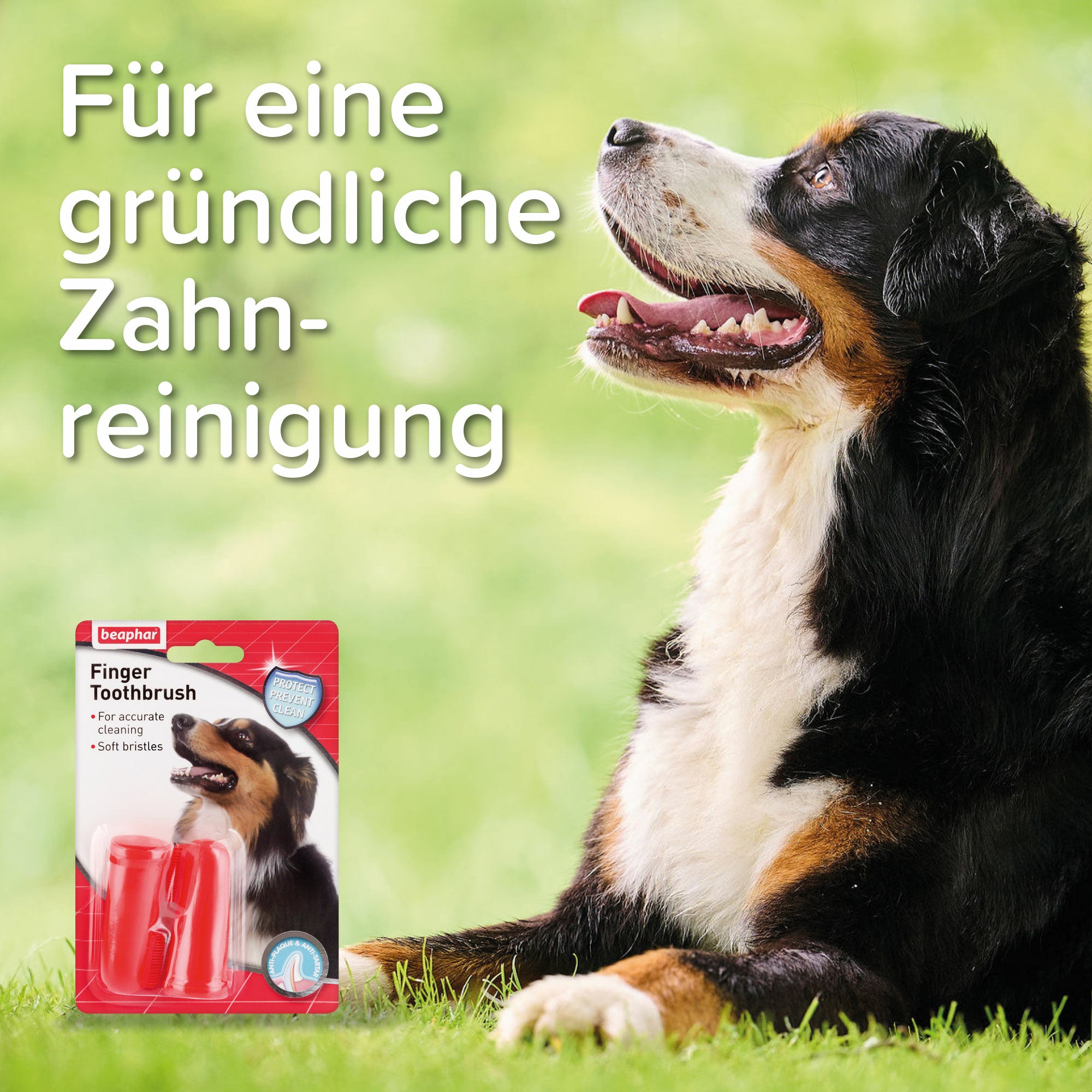 Beaphar Finger Toothbrush, Finger-Zahnbürste für Hunde und Katzen, Inhalt 2 Stück