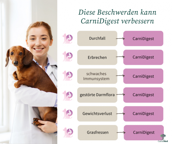 CarniMed CarniDigest schützt regeneriert, entgiftet den Verdauungstrakt Hund Katze 100 gr