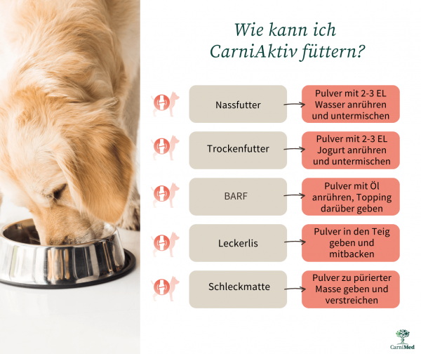 CarniMed - CarniActiv - bessere Mobilität und starke Gelenke, für den Senior, Junghund, Welpen und Katzen