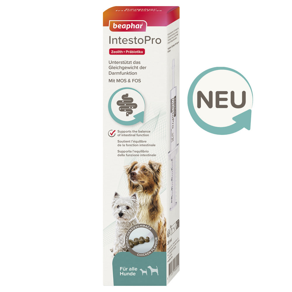 Beaphar IntestoPro Paste - Nachfolger von RETO - für Hunde, 2 x 20ml