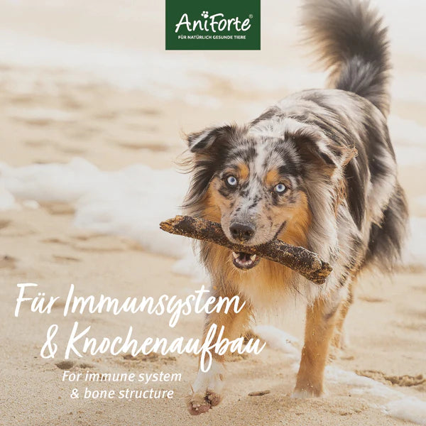 AniForte Lebertran mit Vitaminen D & A für Immunsystem & Stoffwechsel, unterstützt den Knochenbau, 500 ml