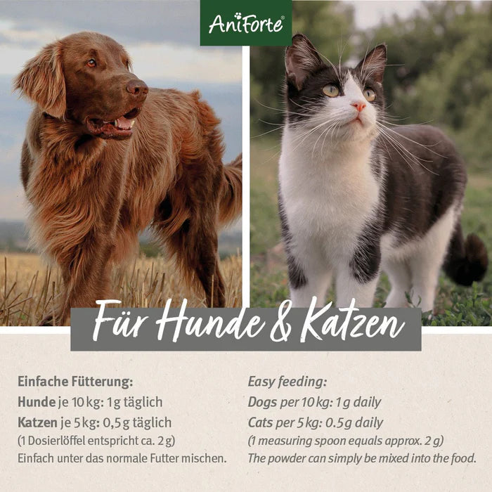 AniForte MSM Pulver zur Unterstützung der Gelenkkraft für Hunde & Katzen, 300g
