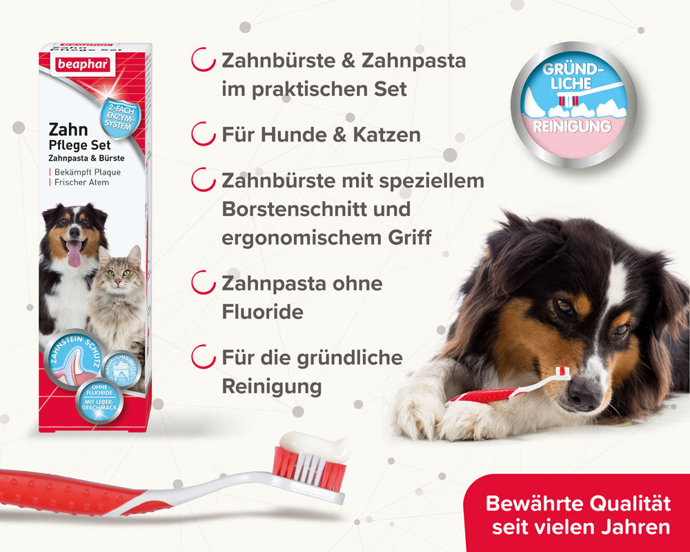 Beaphar Zahnpflege-Set Zahnpasta und Bürste, gründliche Reinigung von Hunde- und Katzenzähnen