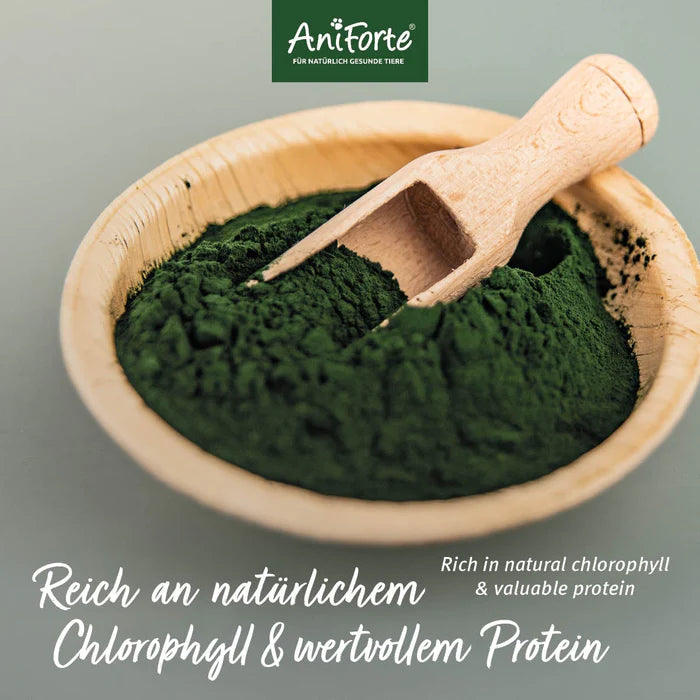 AniForte Bio Spirulina Pulver, Natürliche Proteinquelle für Hunde und Katzen, 250 g