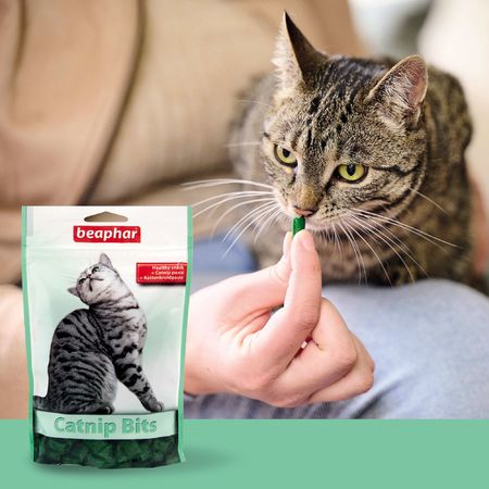 beaphar Catnip Bits, Knusperkissen mit Katzenminze, Belohnung oder Leckerei, 150g