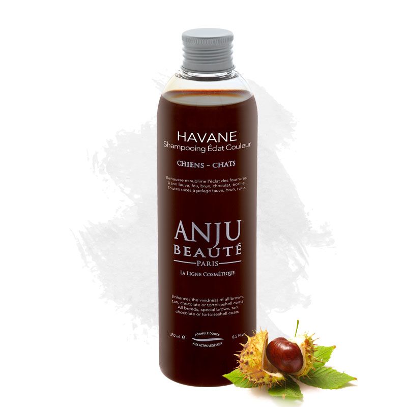 Anju Beauté Havane Shampoo Braunshampoo Rotbraun Hundeshampoo Katzenshampoo