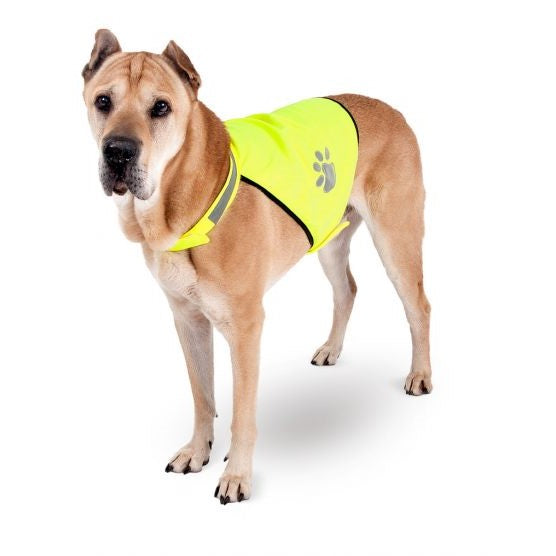 DONGKER Warnweste Hund, Verstellbar Neongelb Sicherheitsweste Hunde mit  Reflektierenden Elementen für mehr Sicherheit im Dunkeln : :  Haustier